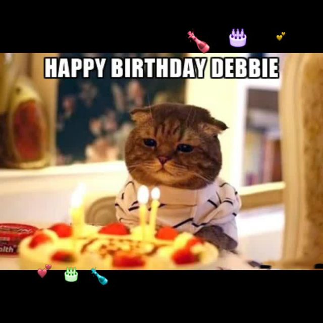 Top Birthday Cat Memes Images And Gif 9 Happy Birthday