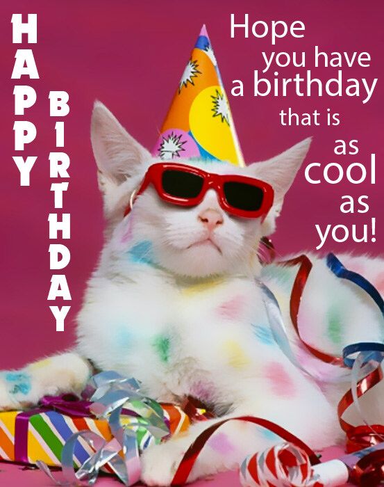 Birthday Ecards Meme