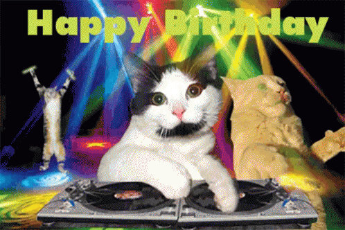Funny Birthday Gif – DJ Cat