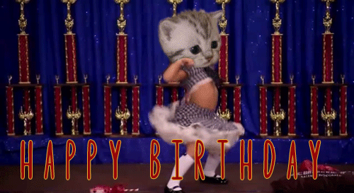 Funny Birthday Gif – Kitten