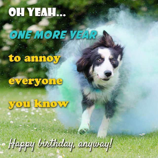Funny Birthday Messages for best friend