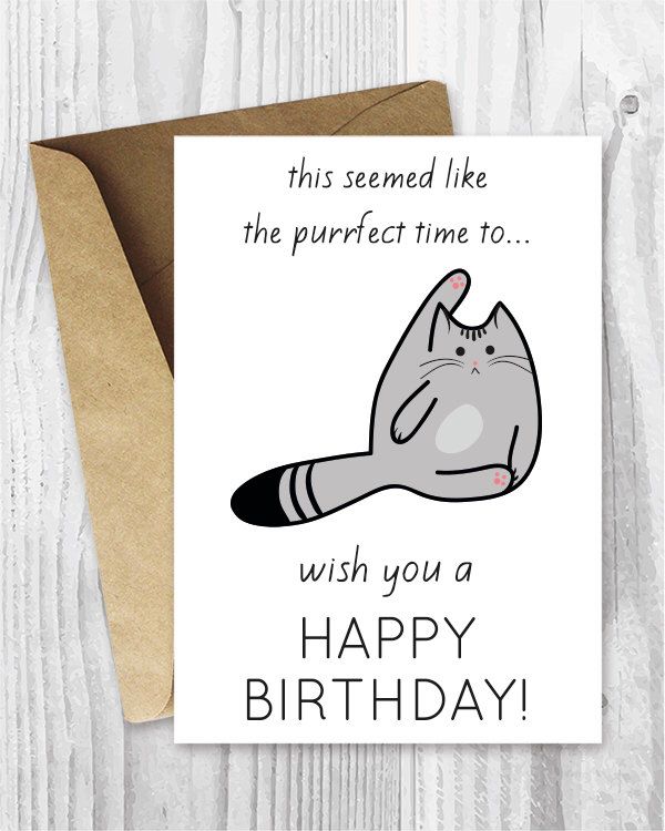 Kitty Funny Birthday Cards