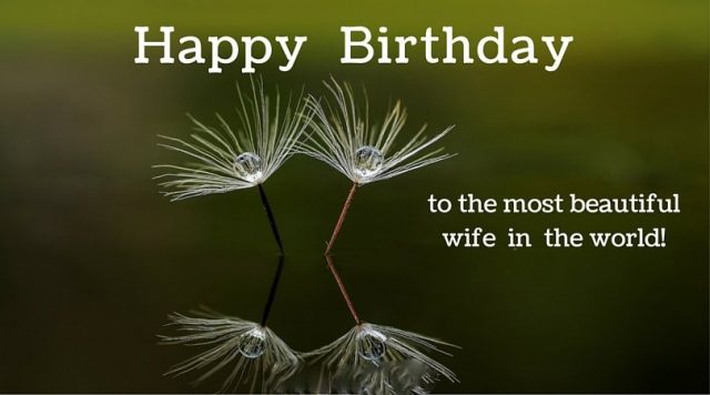 Pretty Birthday Wishes for Wife with Images