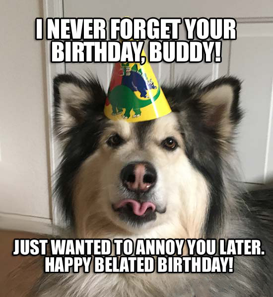 awesome happy belated birthday meme