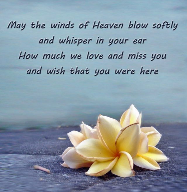 Birthday In Heaven Quotes Birthday Quotes For Someone In Heaven