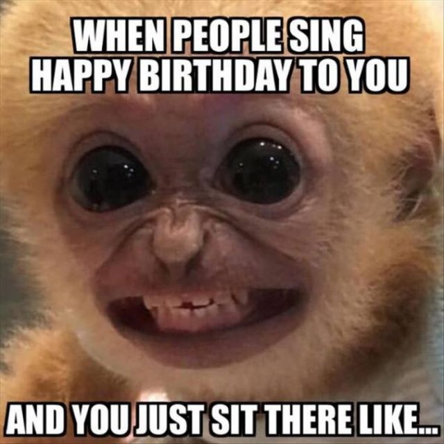 Birthday Funny Meme – Birthday songs