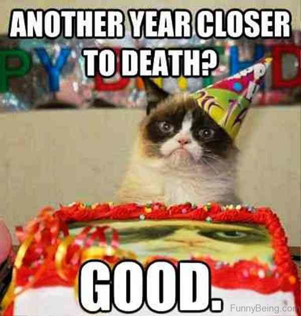 Birthday Funny Meme – angry cat