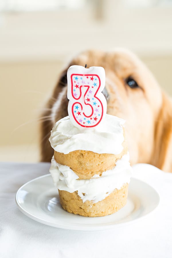 Coconut Honey Dog Birthday Cake