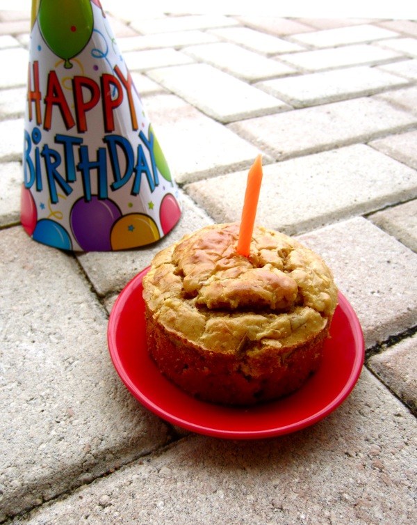 Grain-Free Peanut Butter Apple Dog Birthday Cake