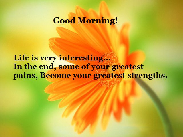 Interesting good morning quotes