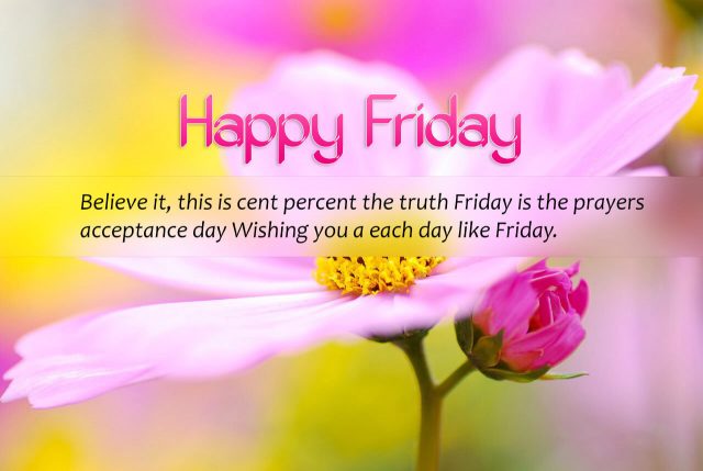 Lovely Happy Friday quotes