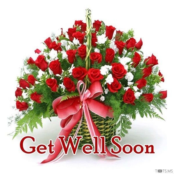 get well soon roses