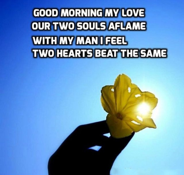 good morning quotes for him – for my love